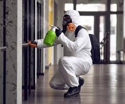 Professional Mold Removal in Ridgefield Park, NJ